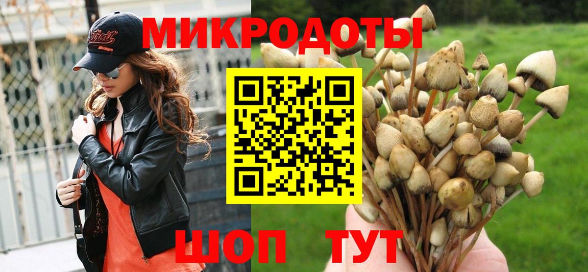 Псилоцибиновые грибы мицелий  Вход с VPN  Галлюциногенные грибы мицелий  Будённовск 