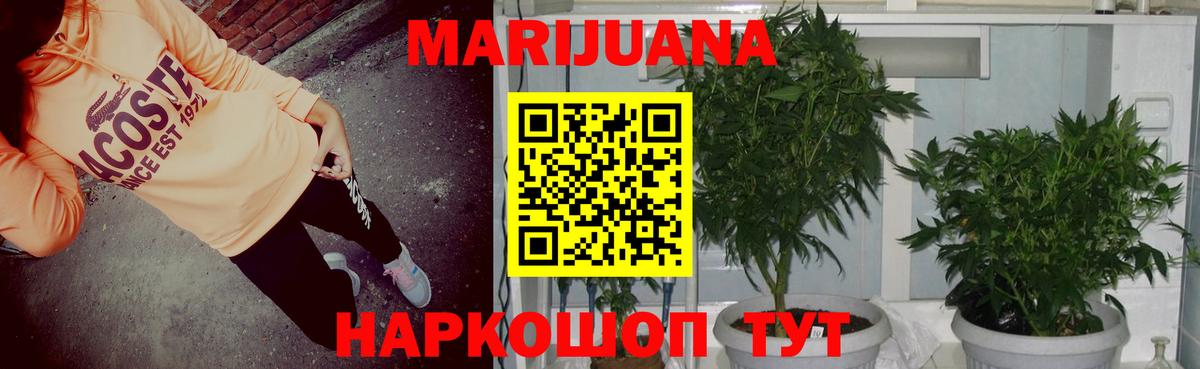 МАРИХУАНА White Widow  Марихуана Ganja  Вход с VPN  Будённовск  Бошки марихуана OG Kush  Канабис семена 